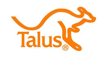 Talus