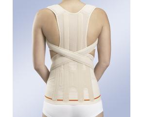 Грудопоясничный модуль Dorso Evotec. Бежевый. EV-203 UNI
