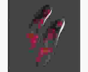 Стельки Optimum red